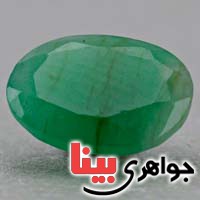 بسیار خوشرنگ _کد:20112 بسیار خوشرنگ _کد:20112