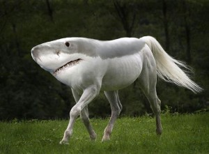 photoshopped-animals-gyyp-10