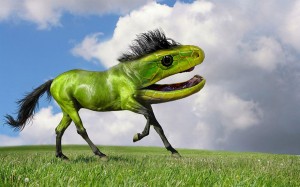 photoshopped-animals-gyyp-7