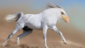 photoshopped-animals-gyyp-8