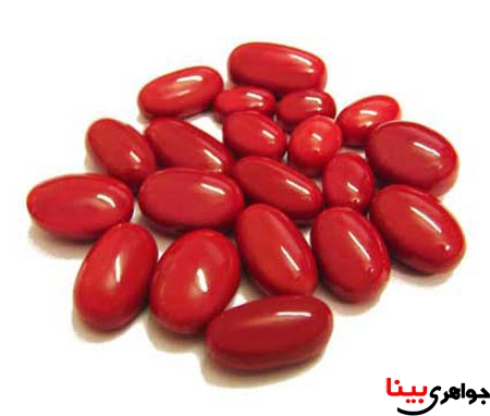 مرجان