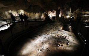IMG10135957
