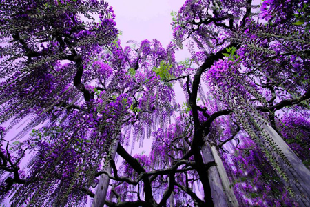 vakonesh.com_9d9f111af5a76bbc2d60dbb68afff430