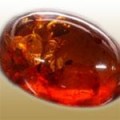 Amber (آمبر، کهربا)