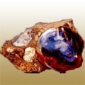 Boulder Opal (اپال سنگی)