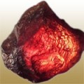 Cape Ruby (یاقوت سرخ دماغه ای)