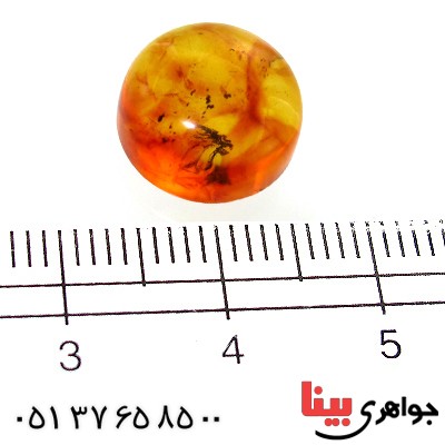 نگین انگشتر کهربا بولونی اصل مرغوب _کد:11816