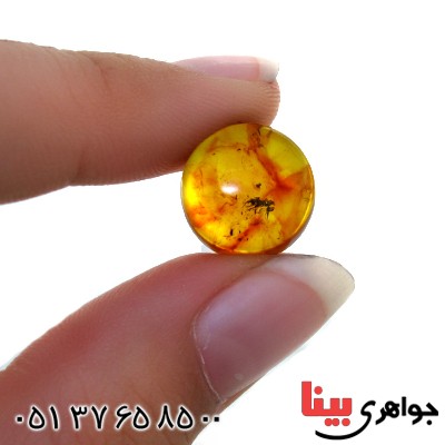 نگین انگشتر کهربا بولونی اصل مرغوب _کد:11816