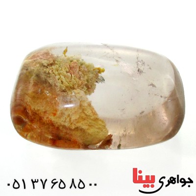 نگین انگشتر در منظره ای درشت با طرح خزان _کد:11940
