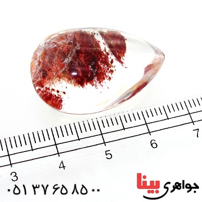 نگین انگشتر در منظره ای درشت با طرح خزان _کد:11953