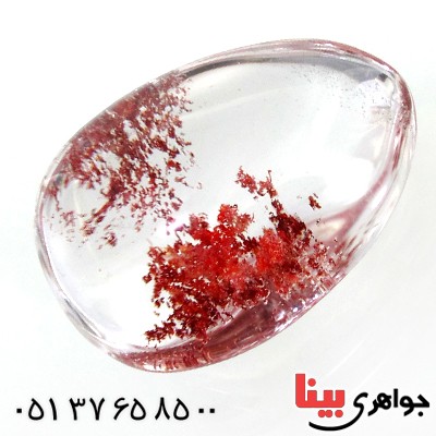 نگین انگشتر در منظره ای درشت با طرح خزان _کد:11958