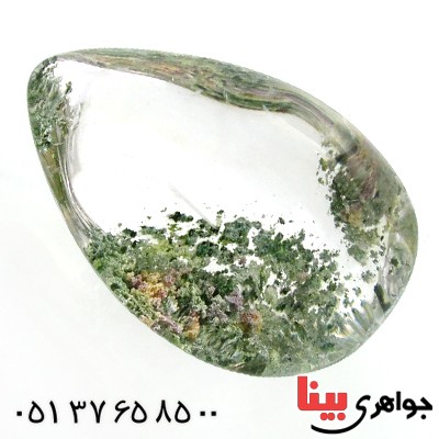 نگین انگشتر در منظره ای  درشت با طرح درخت_کد:11961