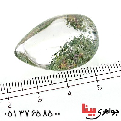 نگین انگشتر در منظره ای  درشت با طرح درخت_کد:11961