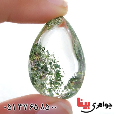 نگین انگشتر در منظره ای  درشت با طرح درخت_کد:11961