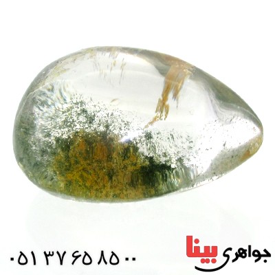 نگین انگشتر در منظره ای درشت با طرح بوته _کد:11962