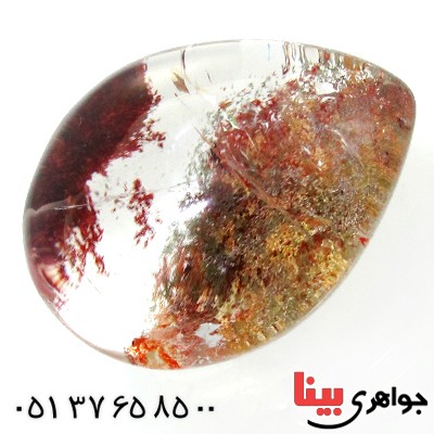 نگین انگشتر در منظره ای درشت با طرح درختان انبوه پاییزی _کد:11966