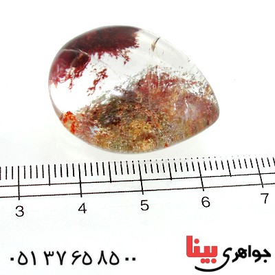 نگین انگشتر در منظره ای درشت با طرح درختان انبوه پاییزی _کد:11966