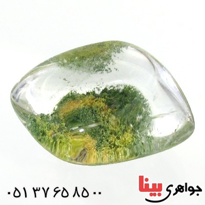 نگین انگشتر در منظره ای درشت با طرح طبیعت _کد:11977
