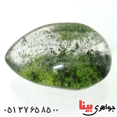 نگین انگشتر در منظره ای درشت با طرح درختان انبوه _کد:12067