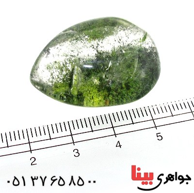 نگین انگشتر در منظره ای درشت با طرح درختان انبوه _کد:12067