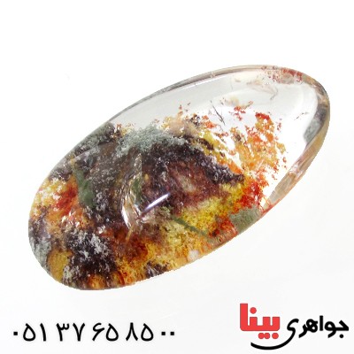 نگین انگشتر در منظره ای درشت با طرح خزان _کد:12076