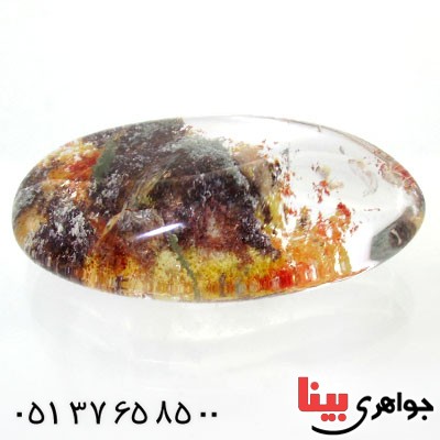 نگین انگشتر در منظره ای درشت با طرح خزان _کد:12076