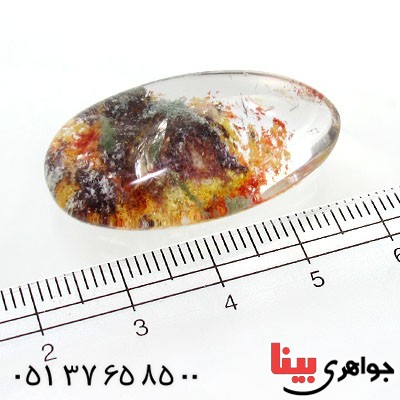 نگین انگشتر در منظره ای درشت با طرح خزان _کد:12076