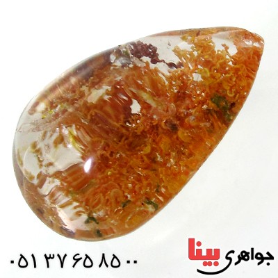 نگین در منظره ای درشت با طرح خزان نگین در منظره ای درشت با طرح خزان