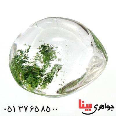نگین انگشتر در منظره ای درشت با طرح طبیعت _کد:12199