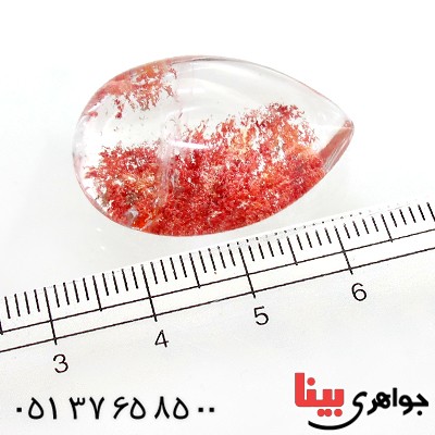 نگین انگشتر در منظره ای درشت طرح گلستان _کد:12254