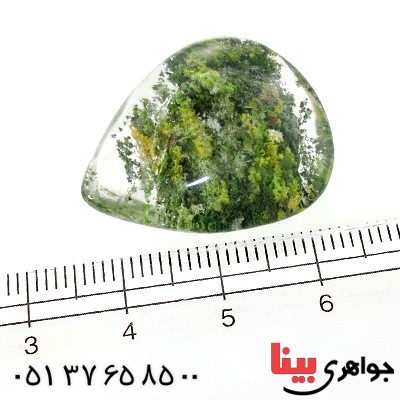 نگین انگشتر در منظره ای درشت طرح جنگل _کد:12264