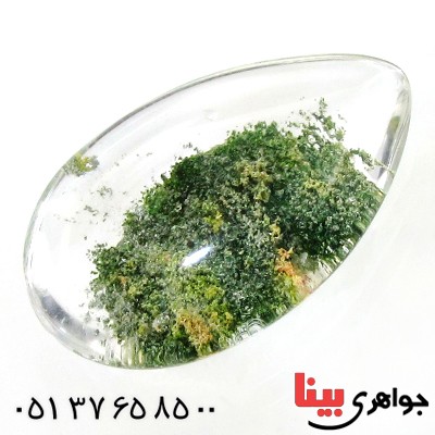 نگین انگشتر در منظره ای درشت طرح بوته _کد:12284