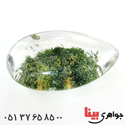 نگین انگشتر در منظره ای درشت طرح بوته _کد:12284