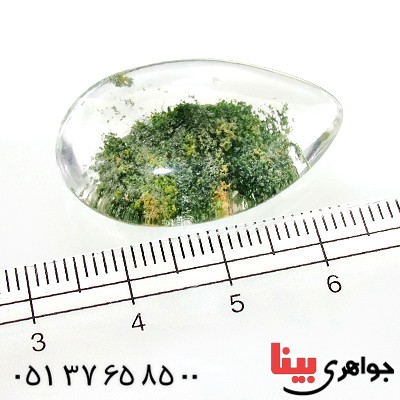 نگین انگشتر در منظره ای درشت طرح بوته _کد:12284