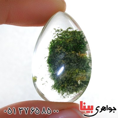 نگین انگشتر در منظره ای درشت طرح بوته _کد:12284