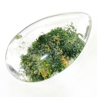 نگین انگشتر در منظره ای درشت طرح بوته 