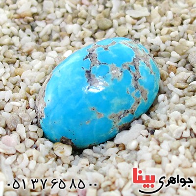 نگین انگشتر فیروزه نیشابوری شجری خوش نقش و رنگ بیضی _کد:12365