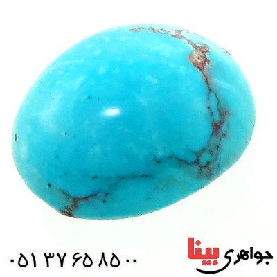 نگین انگشتر فیروزه نیشابوری شجری خوش نقش و رنگ _کد:12456
