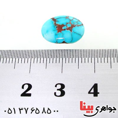 نگین انگشتر فیروزه نیشابوری شجری خوش نقش بیضی _کد:12492