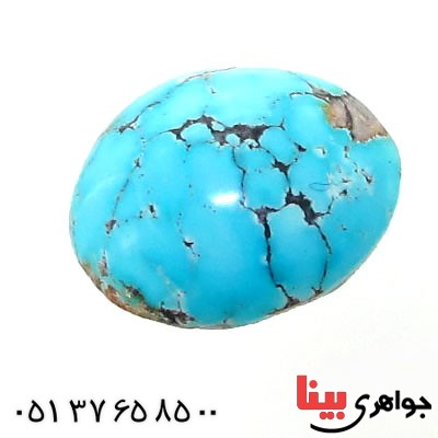 نگین انگشتر فیروزه نیشابوری شجری خوشرنگ بیضی _کد:12493