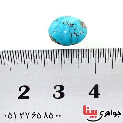 نگین انگشتر فیروزه نیشابوری شجری خوشرنگ بیضی _کد:12493