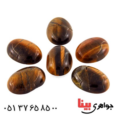 نگین انگشتر چشم ببر (تایگر) _کد:12783