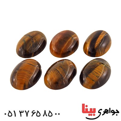 نگین انگشتر چشم ببر (تایگر) _کد:12783