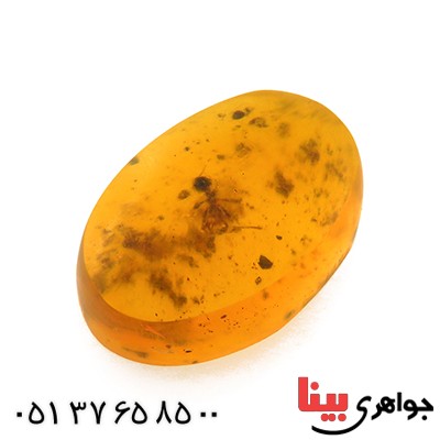 نگین انگشتر کهربا حشره ای روسی درشت _کد:12791