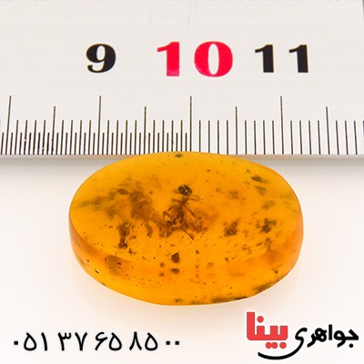 نگین انگشتر کهربا حشره ای روسی درشت _کد:12791