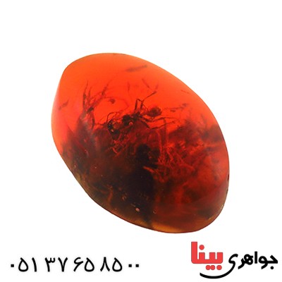نگین انگشتر کهربا حشره ای و خزه ای روسی _کد:12794