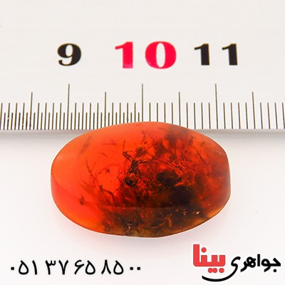 نگین انگشتر کهربا حشره ای و خزه ای روسی _کد:12794