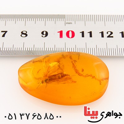 نگین انگشتر کهربا حشره ای درشت و سنگین _کد:12807