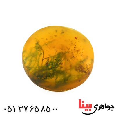 نگین انگشتر کهربا خزه ای روسی _کد:12808