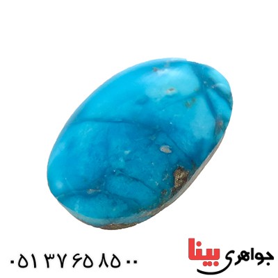 نگین انگشتر فیروزه نیشابوری شجری خوش نقش و رنگ بیضی _کد:12816
